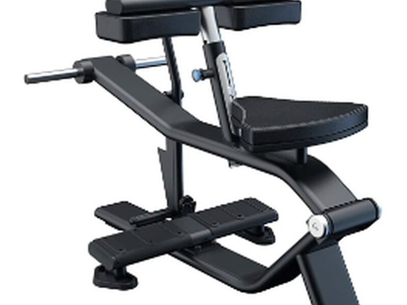 Seated Calf Fit With Nine Guadalupe