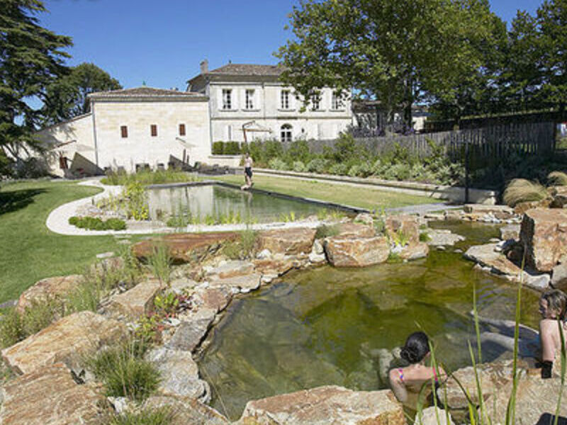 Albercas naturales ecológicas CDMX Albercas