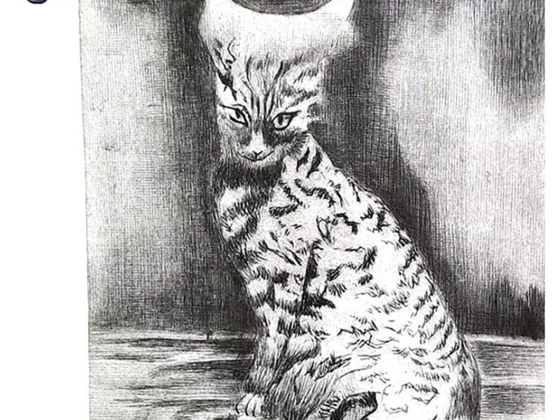 Cuadro de Gato a Grafito Mexico