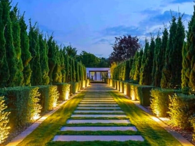 Diseño de jardines contemporaneos México