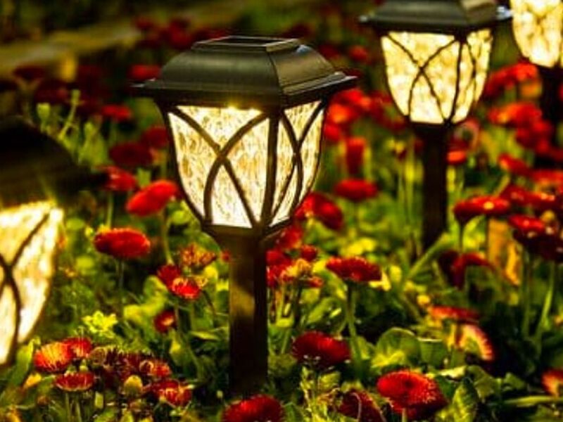 Diseño de jardines Estilo Desértico México