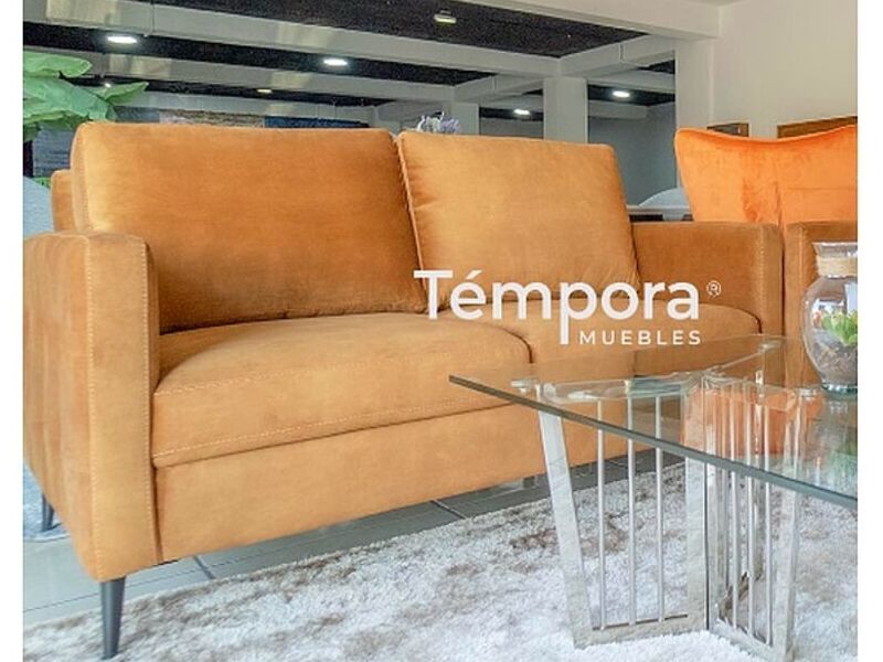 Sofá 2 plazas Zapopan