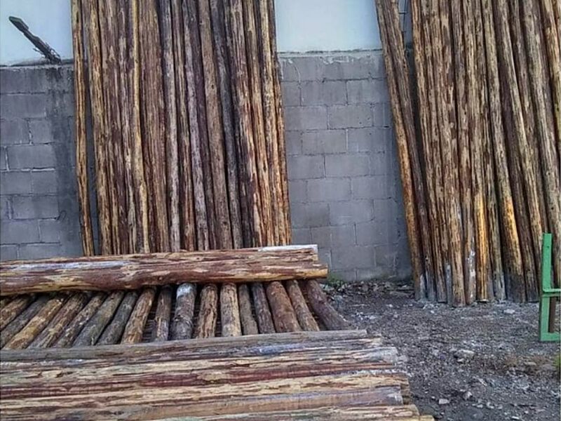 Puntales Sinaloa