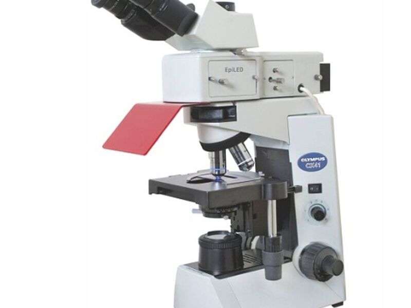MICROSCOPIO DE FLUORESCENCIA MÉXICO