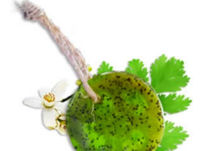 JABÓN CON LUFA DE CHÍA, TÉ DE LIMÓN Y PEREJIL