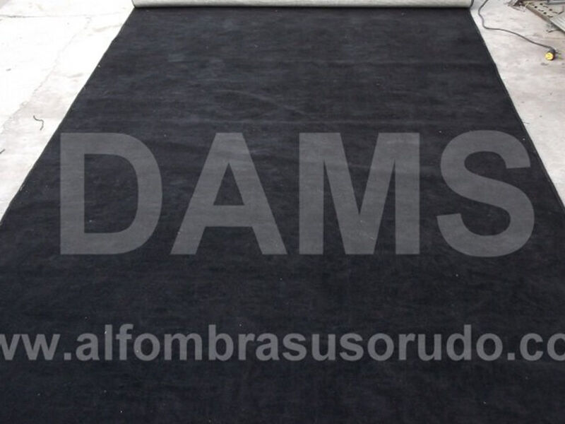 PASILLOS DE ALFOMBRA 23 México