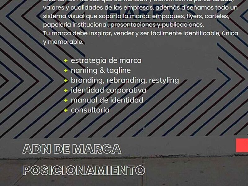 Diseño gráfico branding Mérida 