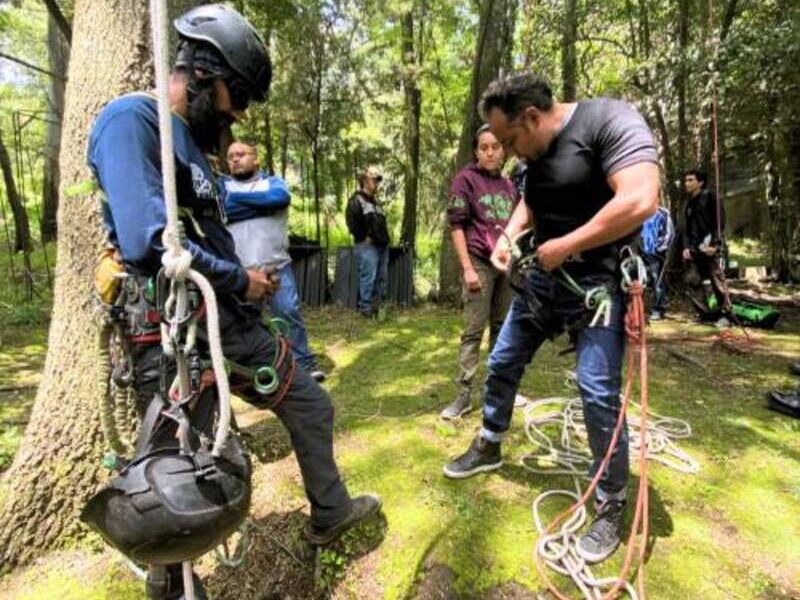 Curso Jardineros México
