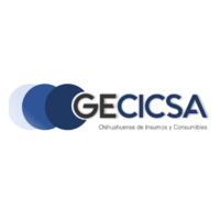 GECICSA