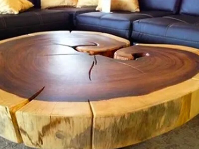 Madera de parota Veracruz