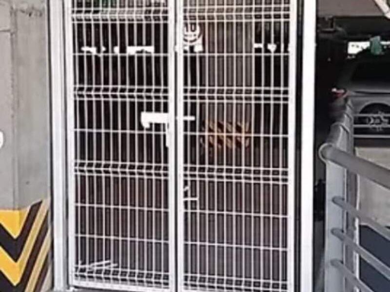 REJA DE ACERO CLASICA México