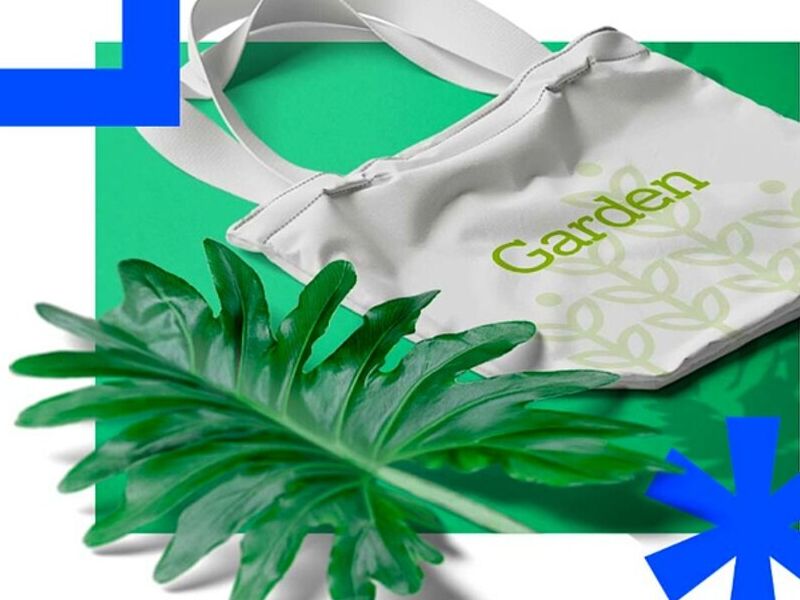Creación Contenido Monterrey 