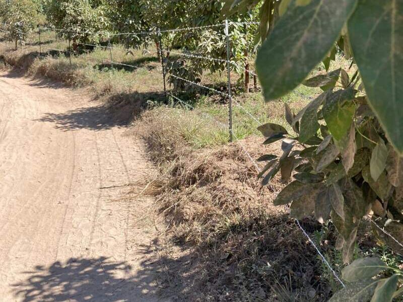 Cerco Alambre Púas México