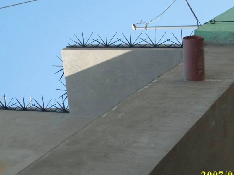 Cerco Púas México