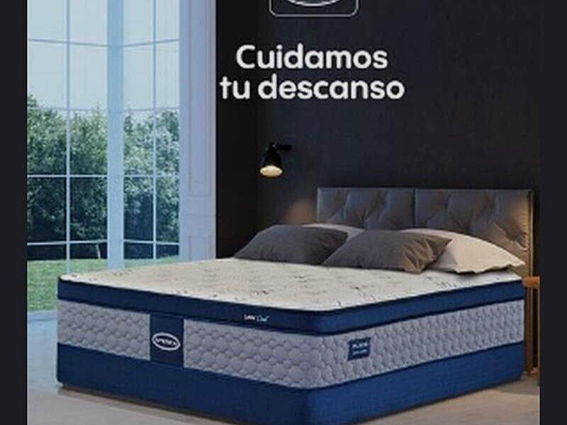 Colchon latex hipoalergenico Mexico