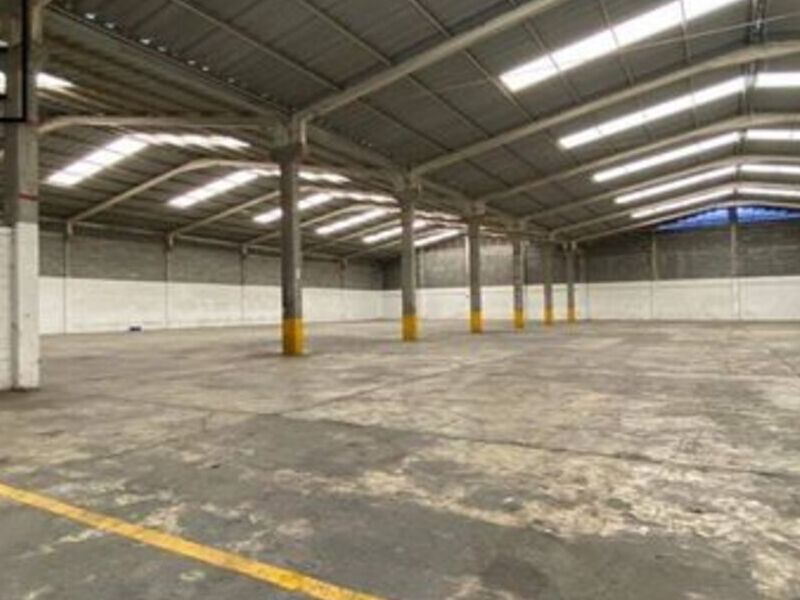 Bodega renta Salina Monterrey