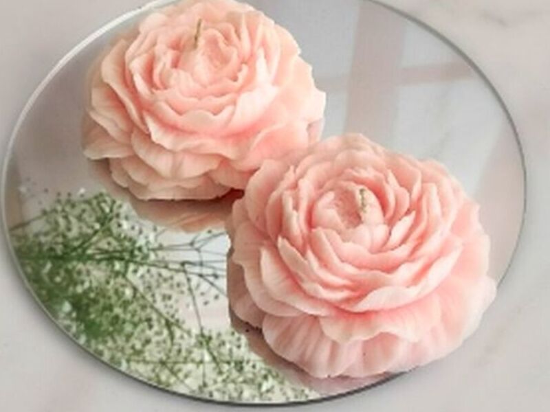 Vela Rosa México