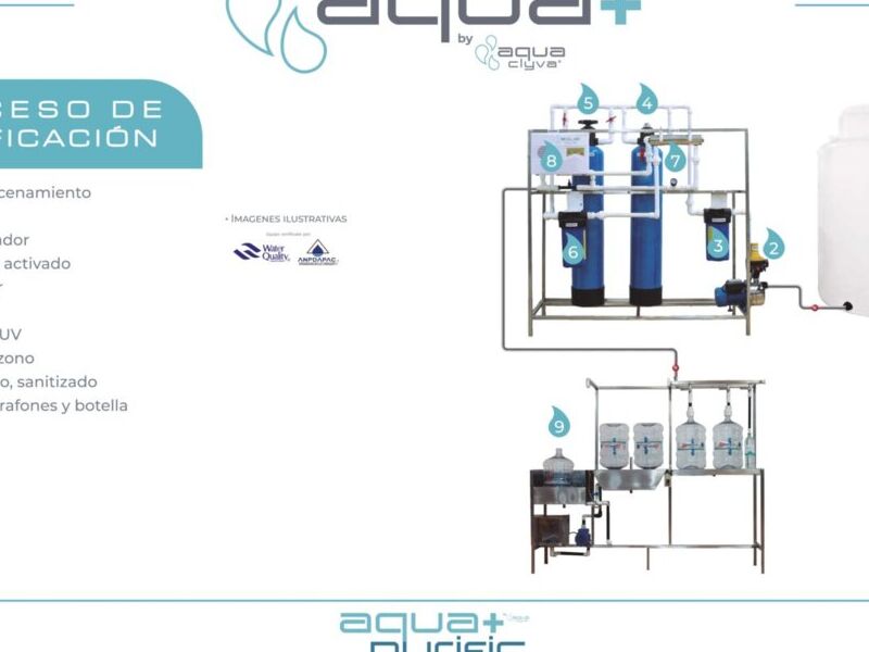 Procesador de Purificación CDMX 