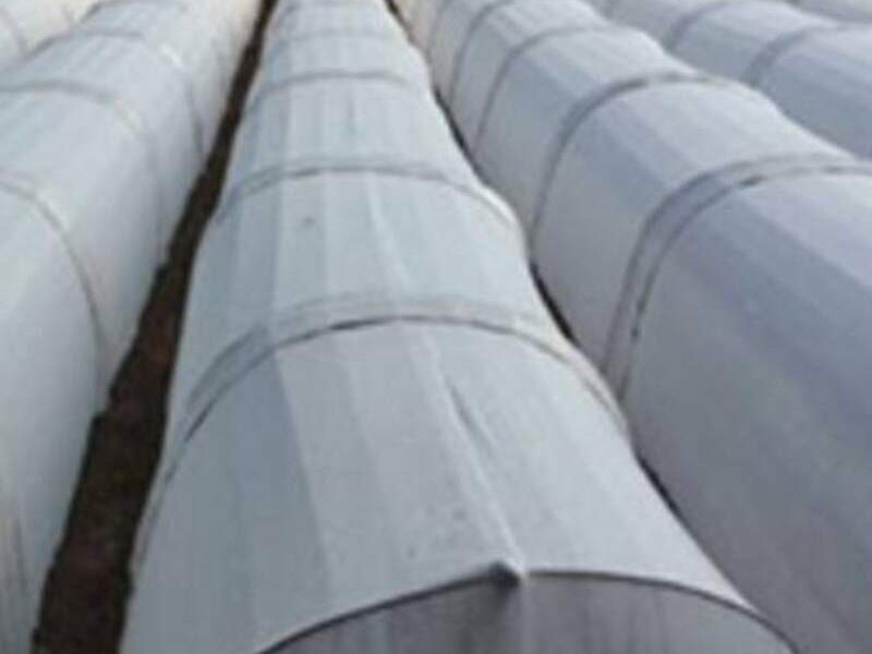 Agribon resistente México