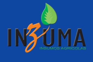 INZUMA