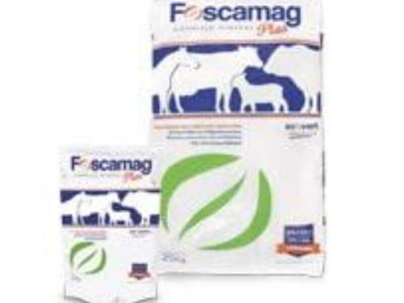 FOSCAMAG CDMX