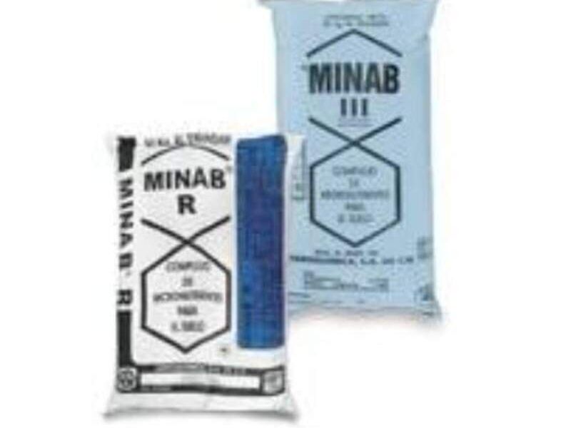 MINAB III, R MÉXICO