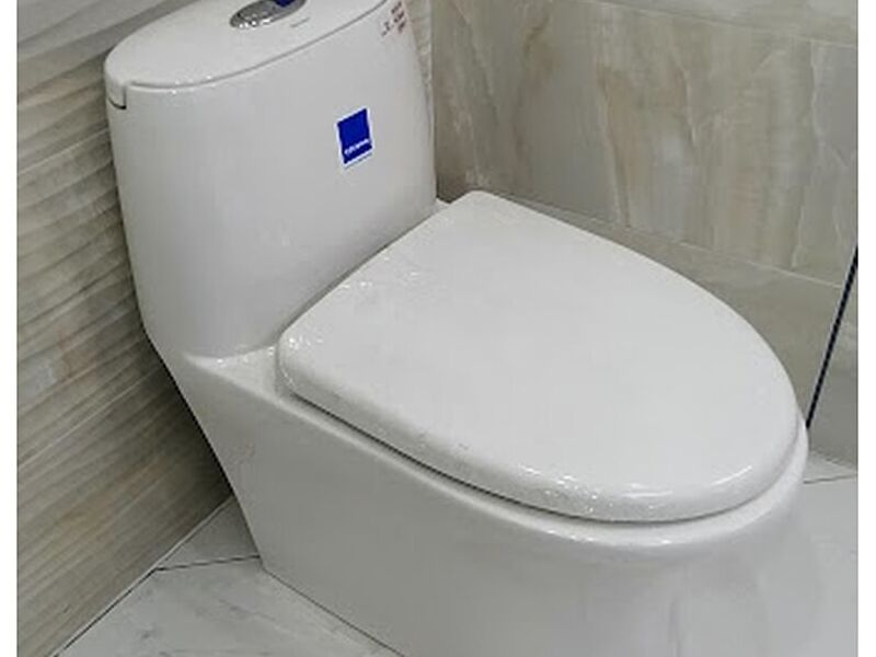 Inodoro blanco México