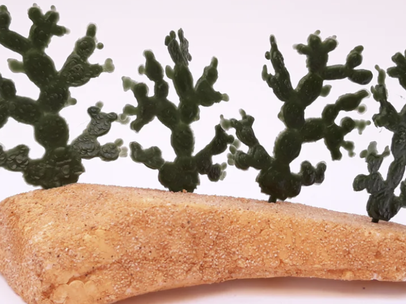 Vegetación Cactos Maquetas Dinamarca 
