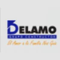DELAMO GRUPO CONSTRUCTOR