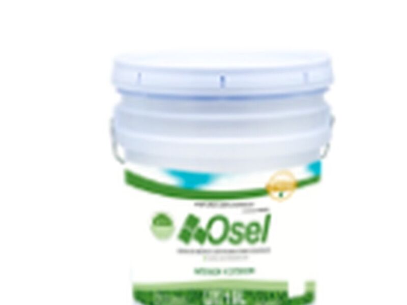 Pintura acrilica osel Mexico 