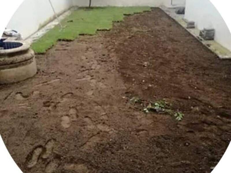  Tierra especial jardinería México