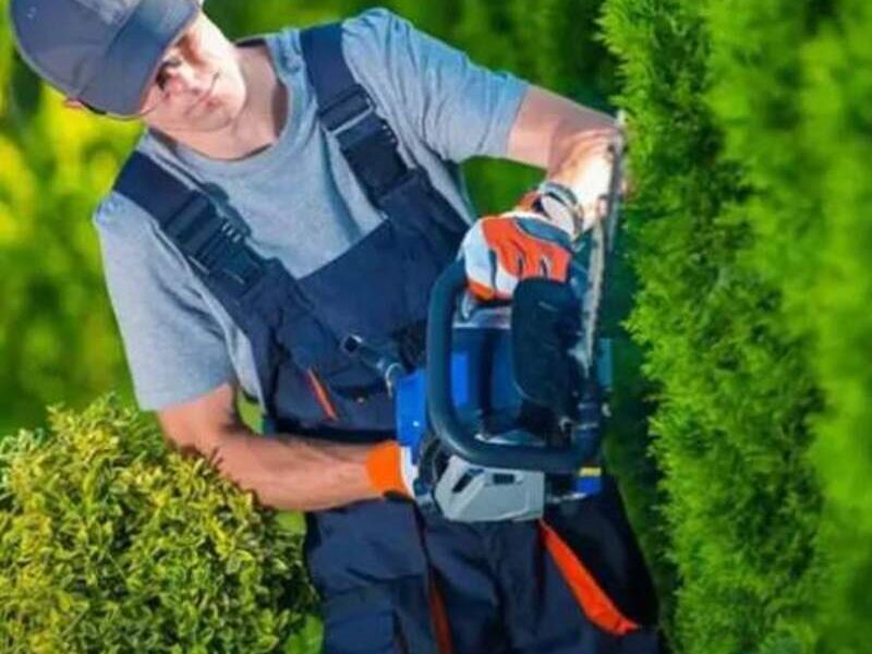 SERVICIOS JARDINERIA MÉXICO
