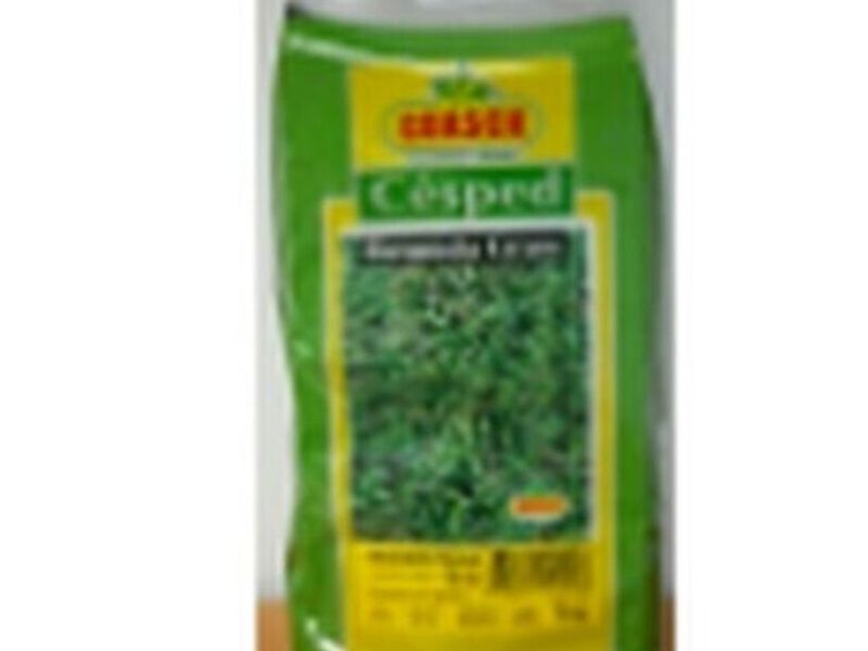 Cepillo césped 1