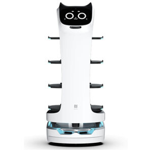 Otros robots de servicio