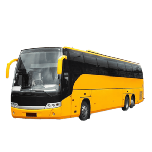 Estándar