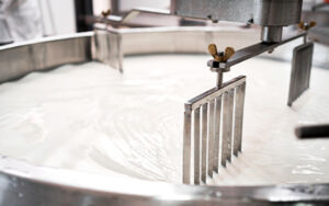 Transformación de la Leche